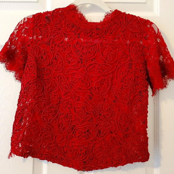 Zara crop lace top - Picture 1 of 1
